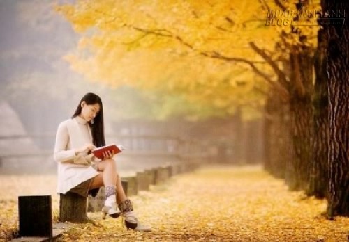 Các địa điểm chụp ảnh đẹp Hà Nội Các địa điểm chụp ảnh đẹp Hà Nội