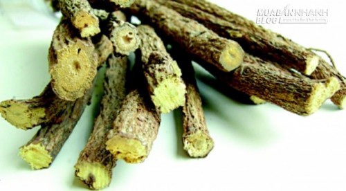 Đ&ocirc;ng y với bệnh tay ch&acirc;n miệng