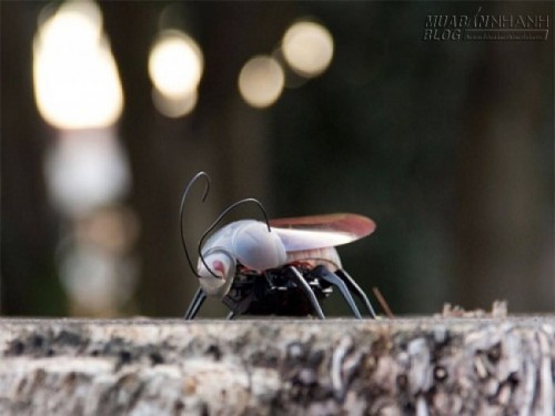 9 m&oacute;n đồ chơi th&uacute; vị cho người d&ugrave;ng smartphone