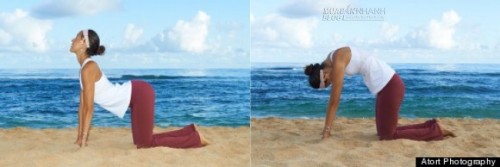 5 động tác yoga buổi sáng cực tốt cho bạn