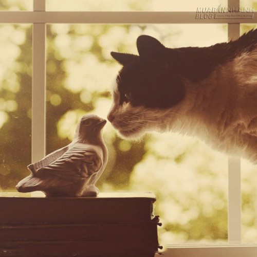 Bạn đang y&ecirc;u hay bố th&iacute; t&igrave;nh y&ecirc;u?