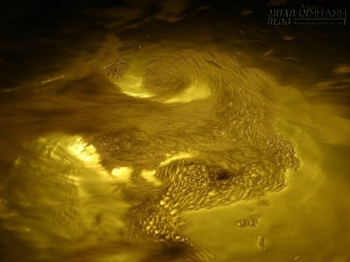 Sự thật về những chất gi&uacute;p con người bất tử