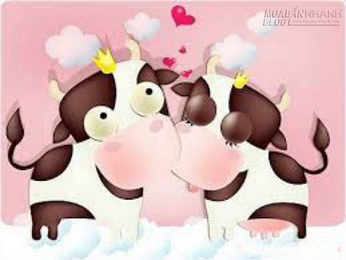 Chuyện t&igrave;nh của... b&ograve;