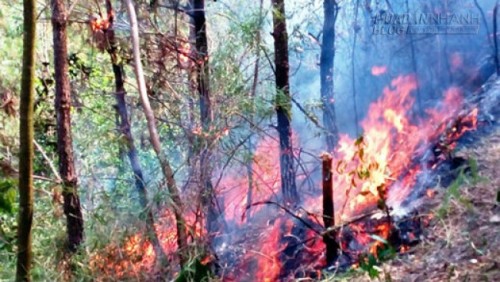 H&agrave; Tĩnh Nắng n&oacute;ng chết người khiến mặt đường bị chảy nhựa