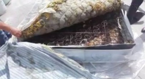 Kinh hoàng sự thật bên dưới lớp đệm sạch sẽ vẫn nằm hàng ngày