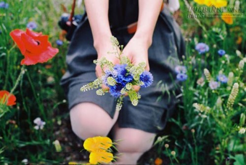 KHI TA Y&Ecirc;U NHAU BẰNG CẢ TR&Aacute;I TIM