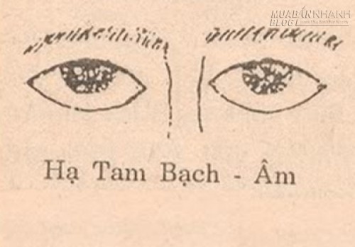 m-t-h-tam-b-ch-7302-1426478399.jpg