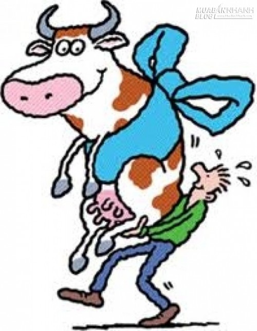 Sờ nắn chọn h&agrave;ng