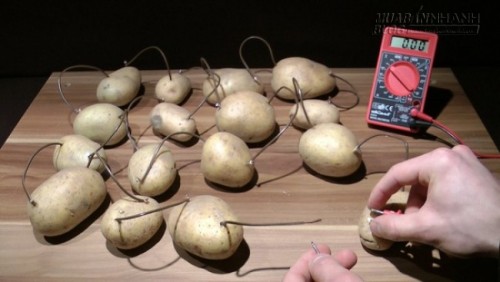 Sạc pin điện thoại bằng khoai t&acirc;y v&agrave; c&aacute;c tr&ograve; vui gi&uacute;p bảo vệ m&ocirc;i trường