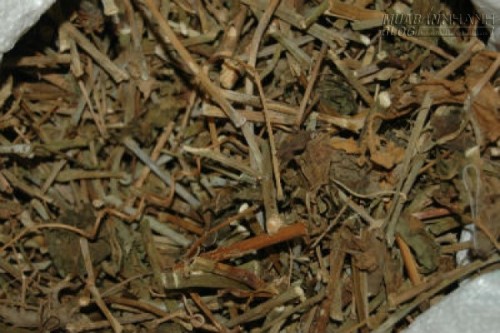 B&agrave;i thuốc kỳ diệu diệt tận gốc bệnh tho&aacute;i h&oacute;a cột sống v&agrave; đĩa đệm