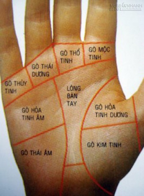 2. Đường Tr&iacute; đạo s&acirc;u v&agrave; r&otilde; r&agrave;ng