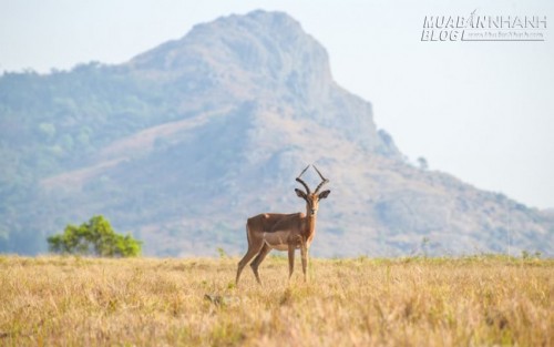 10 điểm đến du lịch rẻ nhất trong năm 2015