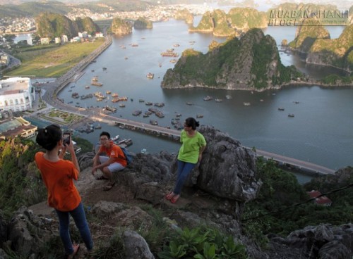Vịnh Hạ Long nhìn từ đỉnh núi cao