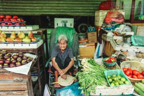 Những chú chó mèo bị bỏ rơi và hàng rau của bà cụ không gia đình ở Sài Gòn