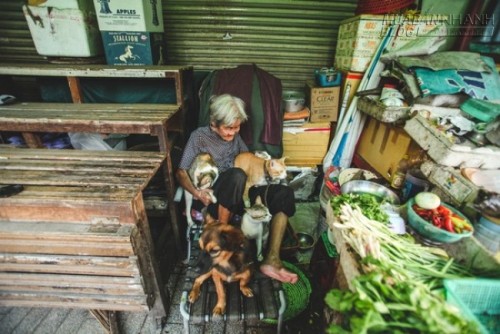 Những chú chó mèo bị bỏ rơi và hàng rau của bà cụ không gia đình ở Sài Gòn