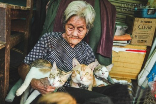 Những chú chó mèo bị bỏ rơi và hàng rau của bà cụ không gia đình ở Sài Gòn