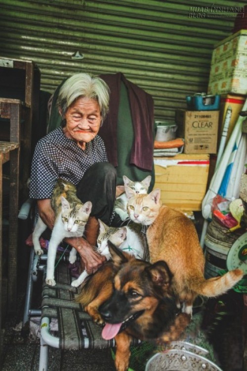 Những chú chó mèo bị bỏ rơi và hàng rau của bà cụ không gia đình ở Sài Gòn