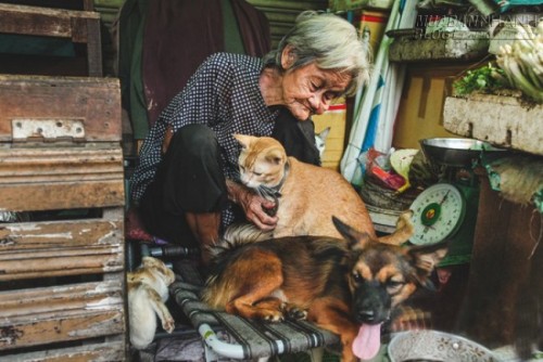 Những chú chó mèo bị bỏ rơi và hàng rau của bà cụ không gia đình ở Sài Gòn