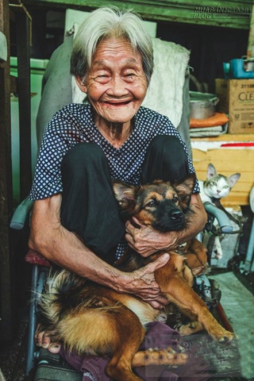 Những chú chó mèo bị bỏ rơi và hàng rau của bà cụ không gia đình ở Sài Gòn