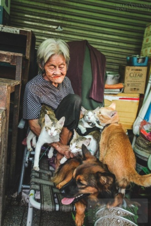 Những chú chó mèo bị bỏ rơi và hàng rau của bà cụ không gia đình ở Sài Gòn