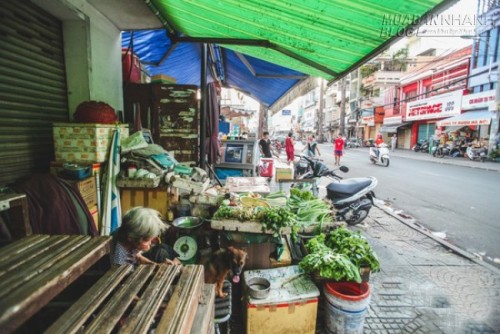 Những chú chó mèo bị bỏ rơi và hàng rau của bà cụ không gia đình ở Sài Gòn