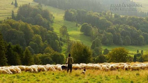 20 năm tiền lương và 3 lời khuyên – Bạn chọn cái nào?