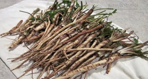 Loại cỏ diệt ung thư trong 24h đang gây xôn xao có thể có ở Việt Nam