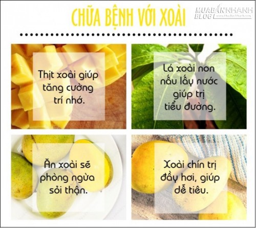 Chữa bách bệnh với những loại hoa quả nổi tiếng của Việt Nam