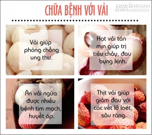 Chữa bách bệnh với những loại hoa quả nổi tiếng của Việt Nam