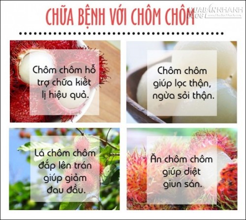 Chữa bách bệnh với những loại hoa quả nổi tiếng của Việt Nam