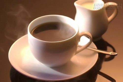 Triết lý của Cà phê