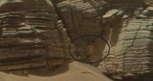 Phát hiện một phụ nữ áo đen trong bức ảnh NASA chụp sao Hỏa? Liệu có tồn tại sự sống trên hành tinh Đỏ?