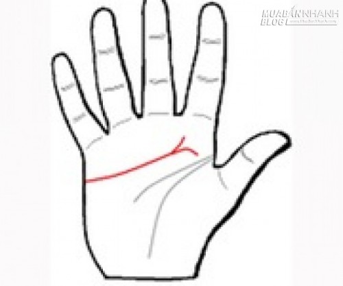 Xem tướng tay – Đường tình duyên tiết lộ tình yêu bền vững