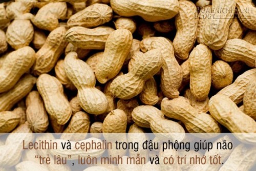Thực phẩm sáng mắt, tăng trí thông minh cho mùa tựu trường