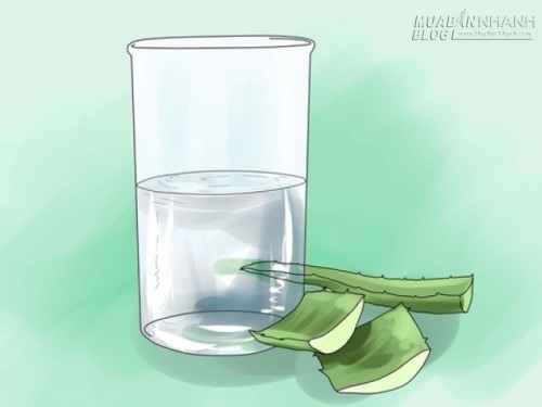 6 Công dụng bất ngờ của nha đam có thể bạn chưa biết