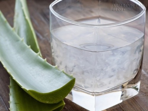 6 Công dụng bất ngờ của nha đam có thể bạn chưa biết