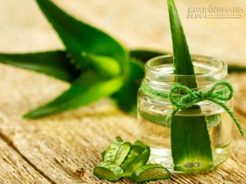 6 Công dụng bất ngờ của nha đam có thể bạn chưa biết