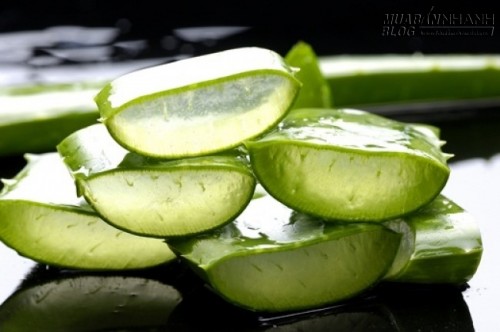 6 Công dụng bất ngờ của nha đam có thể bạn chưa biết