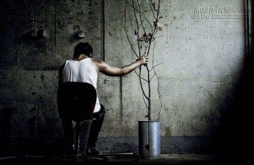 20 năm sau bạn tiếc nuối điều g&igrave;?