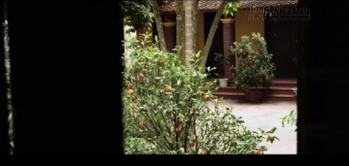 Mê mẩn với clip tuyệt đẹp về phong cảnh Việt Nam