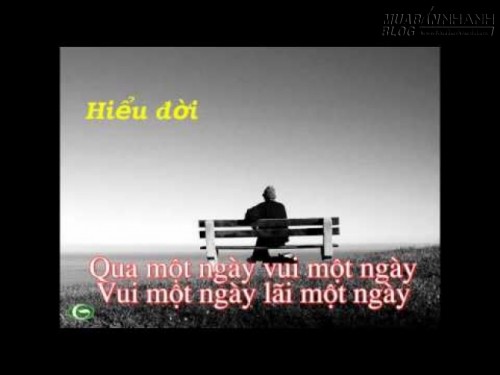 Hiểu đời