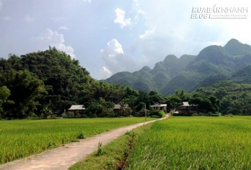 Ghé vội du lịch Mai Châu ngày chớm thu