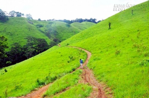 Băng rừng tr&ecirc;n cung đường trek đẹp nhất Việt Nam