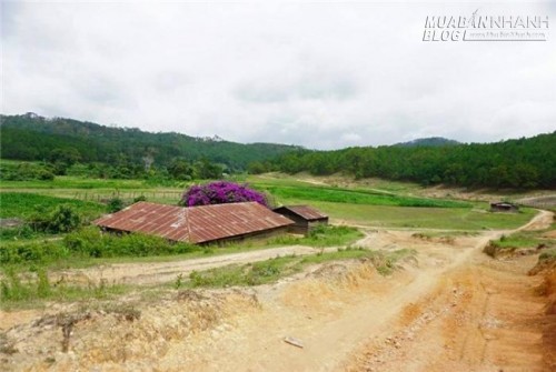 Cung đường Tà Năng - Phan Dũng, vẻ đẹp mê hồn trận