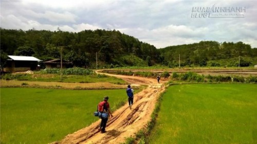 Cung đường Tà Năng - Phan Dũng, vẻ đẹp mê hồn trận