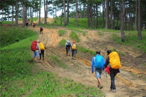 Cung đường Tà Năng - Phan Dũng, vẻ đẹp mê hồn trận