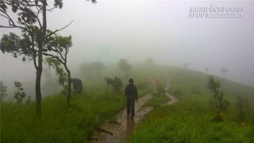 Cung đường Tà Năng - Phan Dũng, vẻ đẹp mê hồn trận