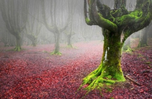 10 điểm đến mùa thu quyến rũ năm 2015