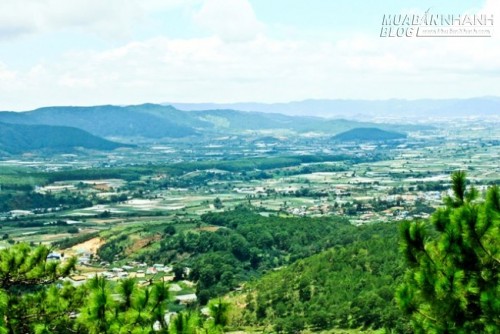 Du lịch Đà Lạt ngắm cung đường tuyệt đẹp dưới chân đèo D’Ran