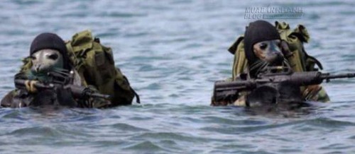 Không thể nhịn cười với những con vật này